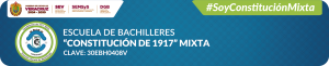 #Soy Constitución Mixta